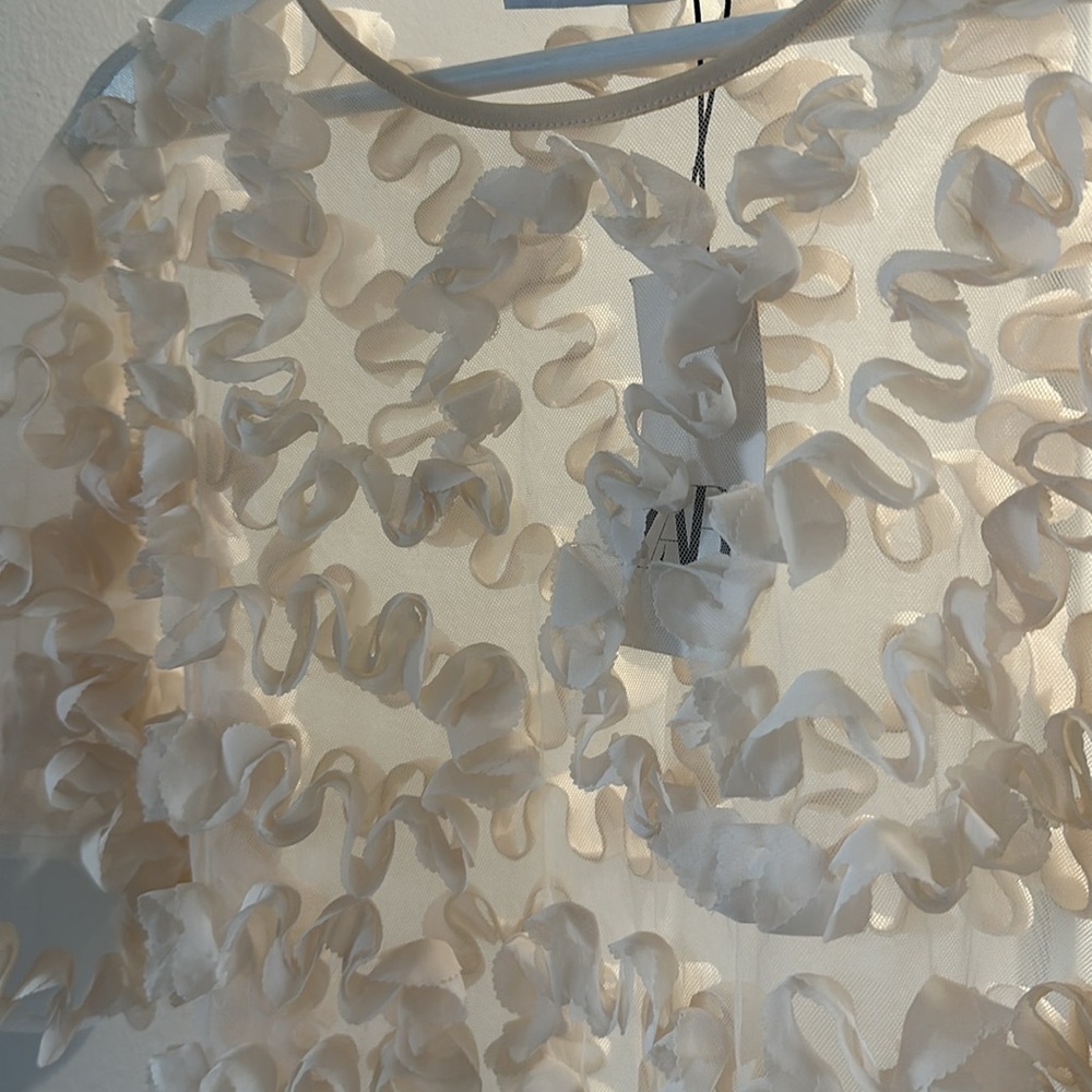 Zara Textured Tulle Top Semi-sheer Top Round Neck Short Sleeve - Picture 4 of 7